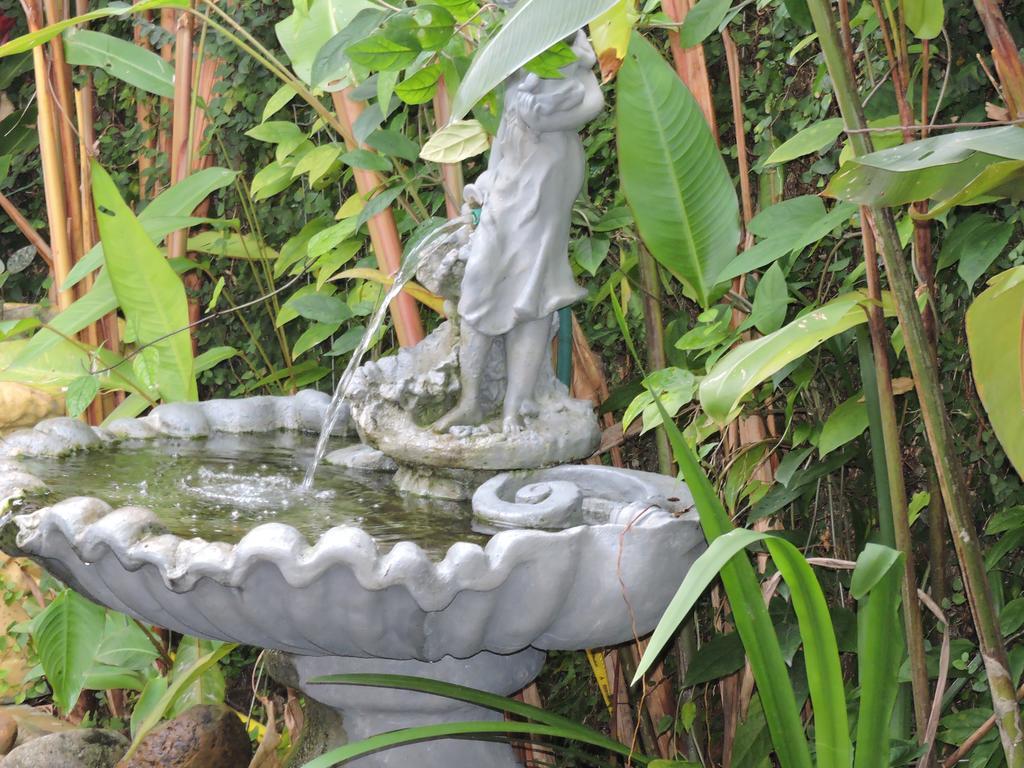 Pousada Don Alberto'S Florianópolis Dış mekan fotoğraf