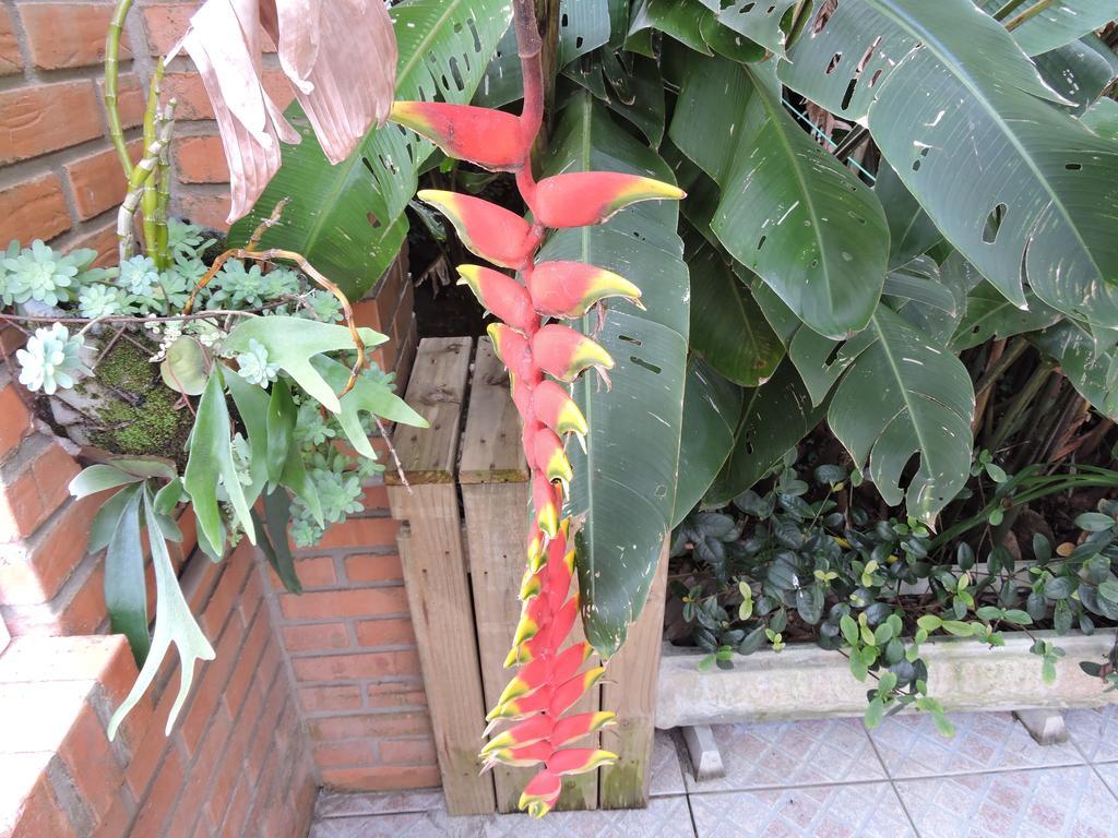 Pousada Don Alberto'S Florianópolis Dış mekan fotoğraf